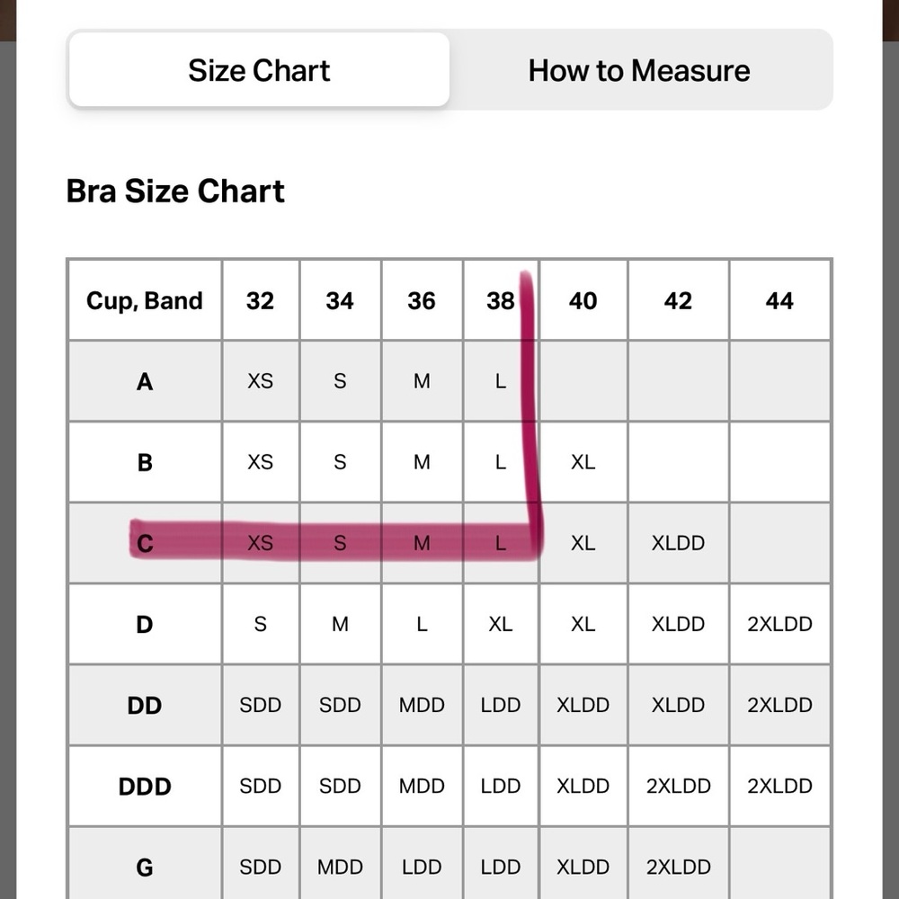 Eby Leopard Print Wireless Sheer Bra Bralette - Brown/Gold 🐆 - Picture 4 of 4